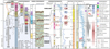 Thumbnail: Fig. 2 Refer to the following caption and surrounding text.
