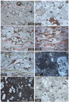 Thumbnail: Fig. 4 Refer to the following caption and surrounding text.