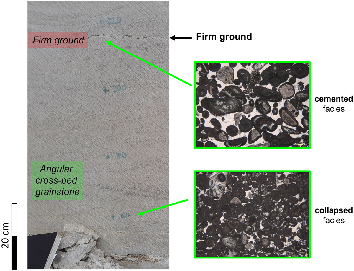 Fig. 11 Refer to the following caption and surrounding text.