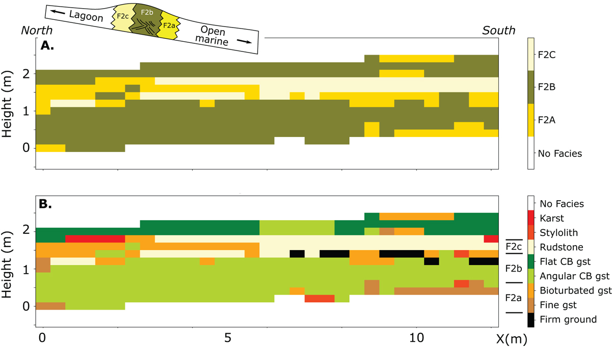 Fig. 6 Refer to the following caption and surrounding text.
