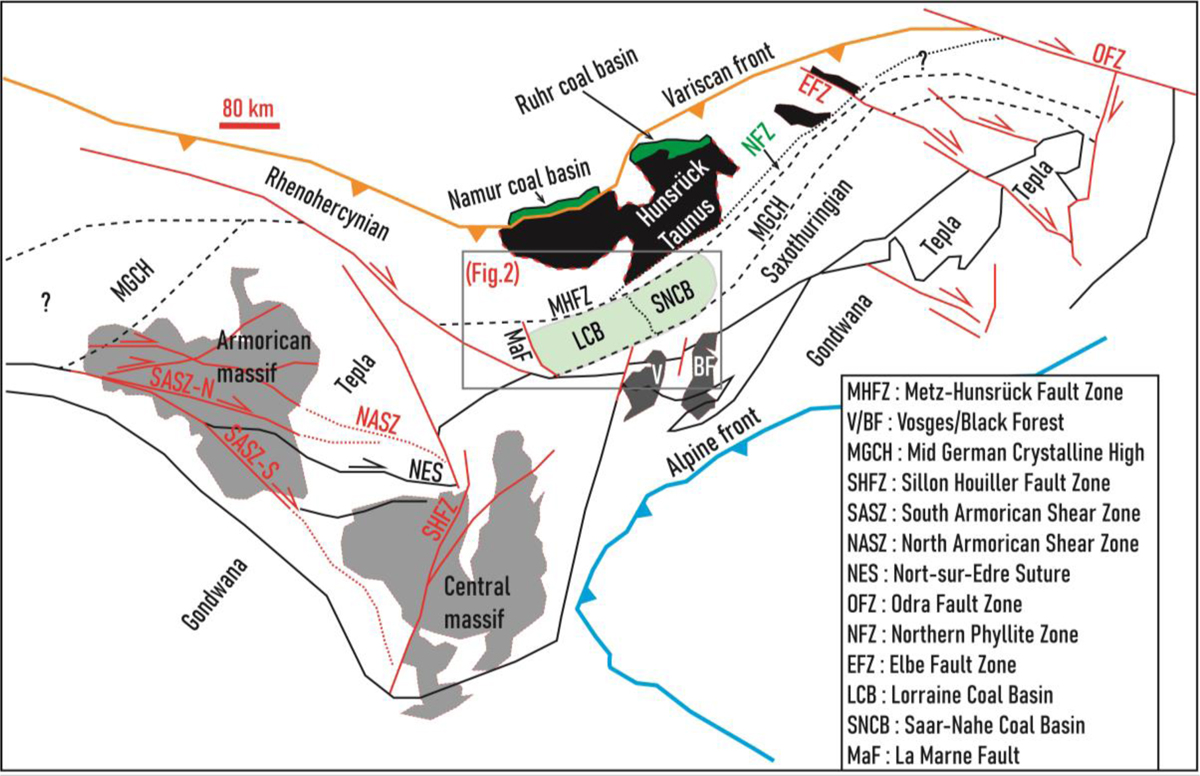 Fig. 1 Refer to the following caption and surrounding text.