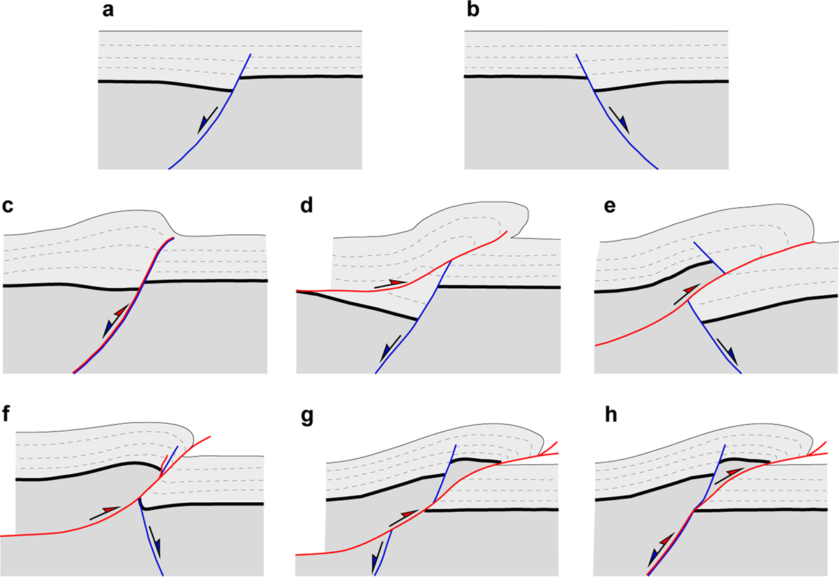 Fig. 1 Refer to the following caption and surrounding text.