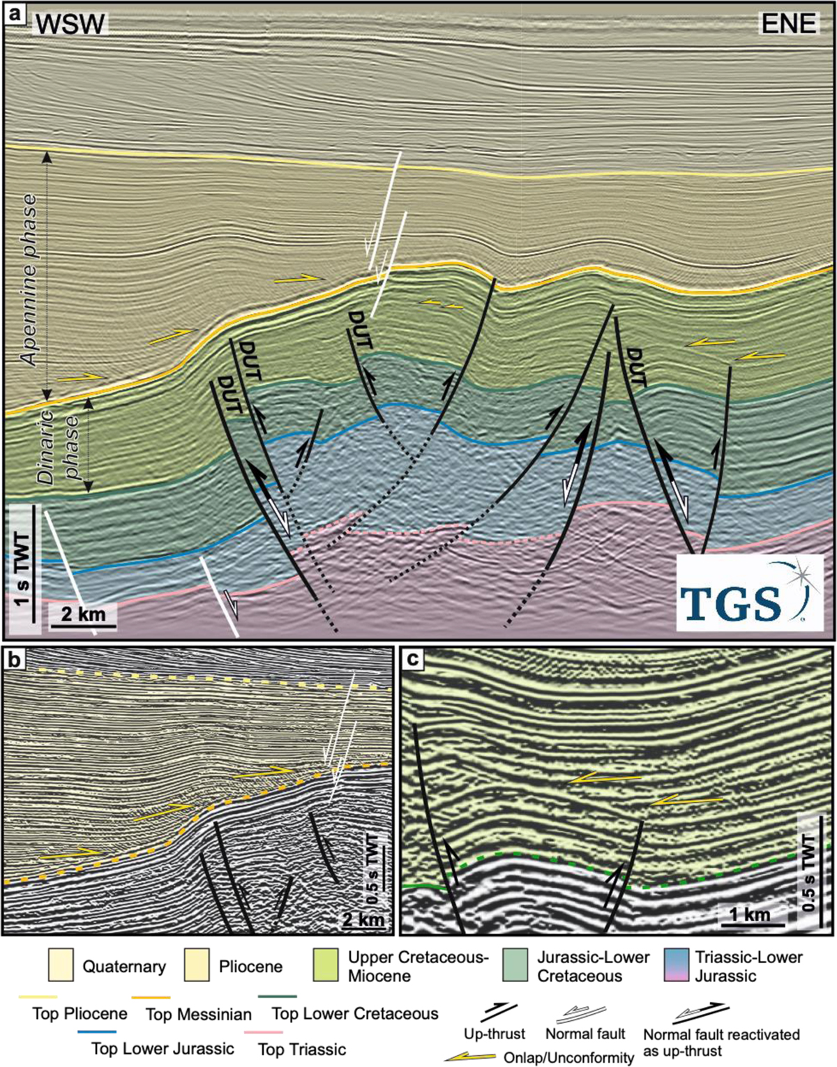 Fig. 3 Refer to the following caption and surrounding text.
