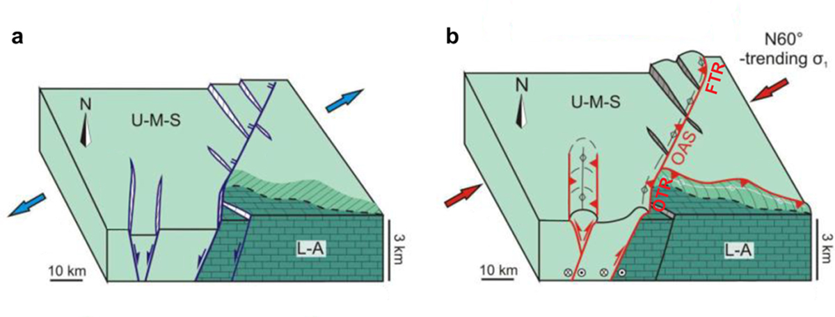 Fig. 6 Refer to the following caption and surrounding text.
