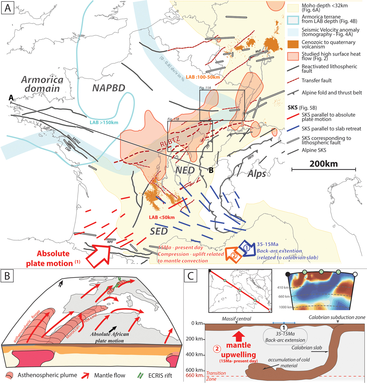 Fig. 10 Refer to the following caption and surrounding text.