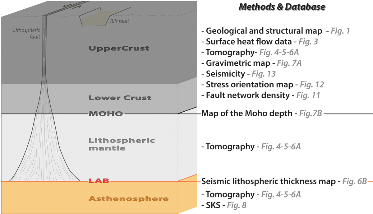 Fig. 2 Refer to the following caption and surrounding text.