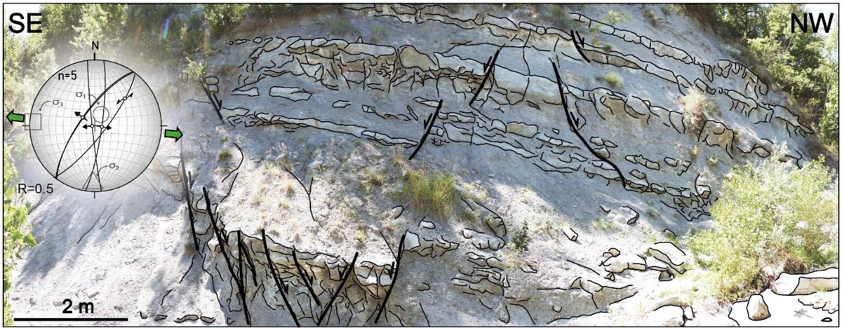 Fig. 4 Refer to the following caption and surrounding text.